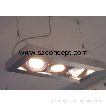 30W LED Ceiling Light, LED Pendent Light, LED Pendent Light - P